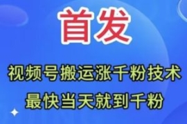 全网首发：视频号无脑搬运涨千粉...