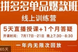 钟辰·拼多多单品爆款班，一个拼...