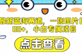 AI最新蓝海赛道，一张图片日入30...