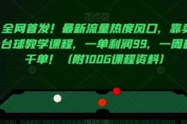 全网首发！最新流量热度风口，靠...