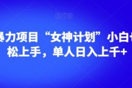 男粉暴力项目“女神计划”小白也...