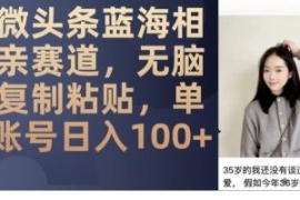 微头条蓝海相亲赛道，无脑复制粘...