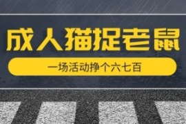 最近很火的成人版猫捉老鼠，一场...