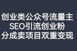创业类公众号流量主，SEO引流创...