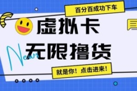 虚拟卡无限撸货，百分百成功下车...