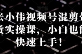 张小伟视频号混剪带货实操课，小...