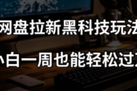 网盘拉新黑科技玩法，小白一周也...