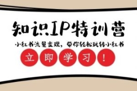 知识IP特训营 ：小红书-流量变现...