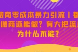 新·微商零成本暴力引流丨都2023...