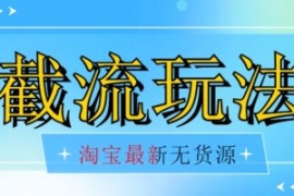 首发价值2980最新淘宝无货源不开...