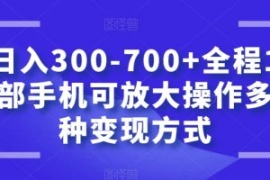 日入300-700+全程1部手机可放大...