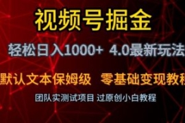 视频号掘金轻松日入1000+4.0最新...