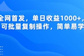 全网首发，单日收益1000+，可批...