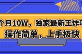 三个月10W，独家最新王炸项目！...