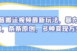 抖音搬运视频最新玩法，暴力涨粉...