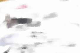 B站暴力引流新玩法，单日引流100...