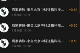 接码无限撸红包一分钟0.6无脑操...