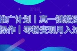 网剧推广计划丨真一键搬运丨矩阵...