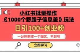 小红书批量操作《1000个野路子信...