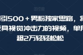 暴力日引500＋男粉独家思路，将...